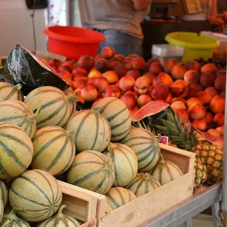 Apartment Face Avec Parking Prive - - Fr-1-251-252