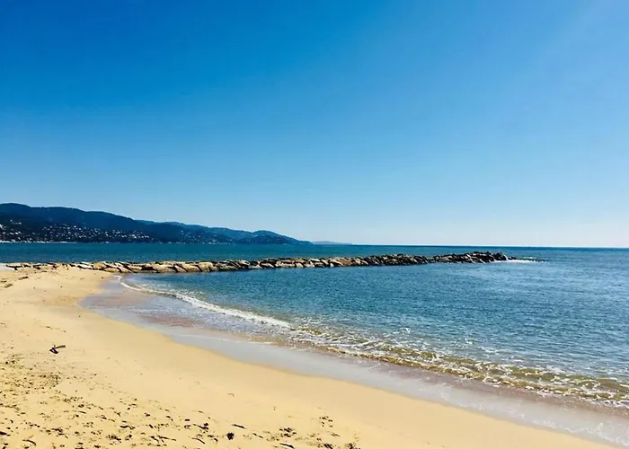 Face Avec Parking Prive - - Fr-1-251-252 Le Lavandou